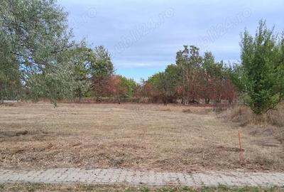 Teren intravilan 836 mp , deschidere 24 ml , zona linistita - 3
