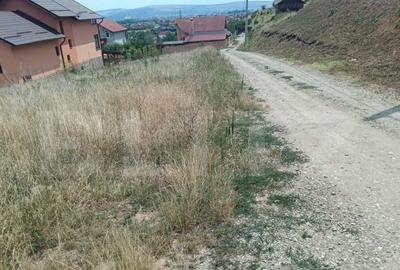 Teren intravilan 1000 mp in Micesti - 1