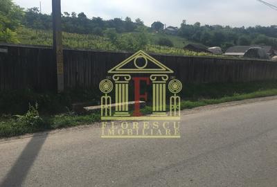Teren Construcții intravilan de 17500 mp, în Hlincea - 1