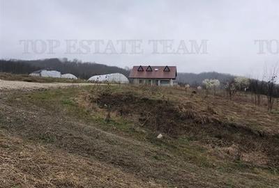 Casa de vanzare in Stanomiru  Judetul Valcea cu un teren in suprafata de 320000 - 4