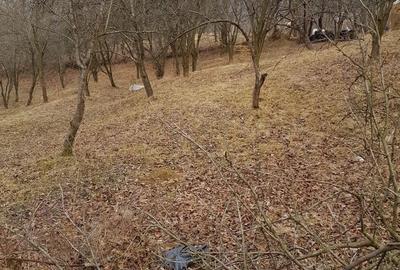 Spațiu comercial, în Central - 3