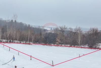 Teren intravilan de 500 mp, în Tohanu Vechi - 15