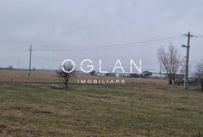 Teren extravilan 11.300 mp, front 39 m, Selimbar - 2