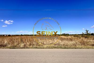 Corbeanca 5000 mp, deschidere 22 m la Drum asfaltat, padure, utilitati la limita - 12