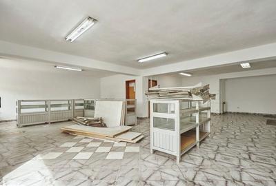 Eroii revolutiei vila 1100 mp S+P+E1+E2+M + curte 14 camere - 4