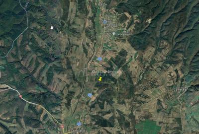 Teren de 127500 mp, în Forotic - 1