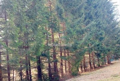 Teren intravilan în Poiana Brașov 1404 mp, str. Poiana Ruia - 5