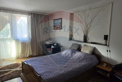 Casă / Vilă cu 5 camere de vânzare în zona George Enescu - 24