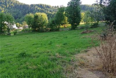 Casă cu 1 camere în Fericet - 10