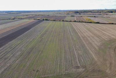 Bucovat - Lot Intravilan 2.27 Ha, PUZ inceput, Rezidentia... - 2