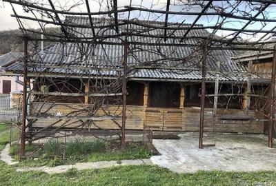 Casă cu 2 camere în Rogoz - 1