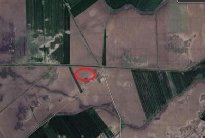 Teren extravilan/intavilan in suprafata de 28.594 mp, lotizat in 7 parcele - 2