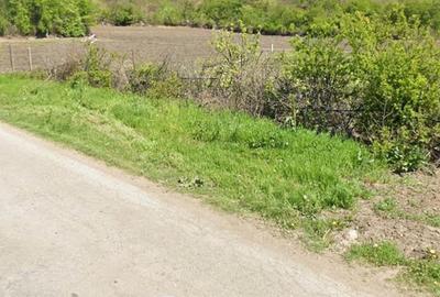 Casă cu Teren 5500 Mp în Zlata - 1