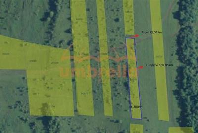 Teren agricol intravilan de 1380 mp, în Gheorgheni - 5