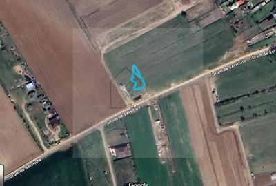 Teren intravilan 2078 mp langa padure - Piscu Ciolpani Snagov - 2