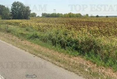 Teren de 219413 mp, în Florești - 4