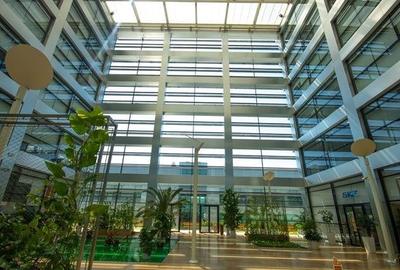 Spatii birouri de inchiriat zona Grozavesti - Semanatoarea, Bucuresti - 2