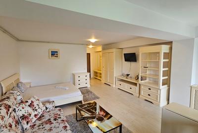 Garsoniera zona Otopeni (Aeroport) bloc NOU, Mobilata-Utilata MODERN - 12