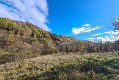 Teren de 3200 mp, în Valea Doftanei - 6