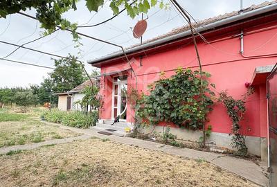 Casa la 22 km de Oradea, Santaul Mare, Bihor - 4