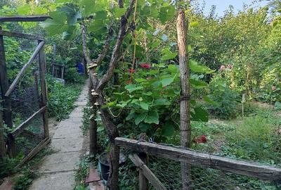 Casă individuală cu 8 camere cu Teren 744 Mp în Ilidia - 23