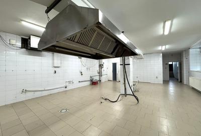 Spatiu alimentatie publica, 200 mp, ideal catering/delivery, zona Horea - 2