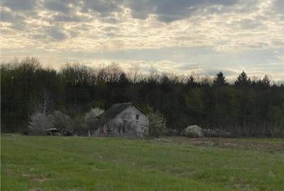 RECO Casa cu teren in Alparea 13km de Oradea - 7