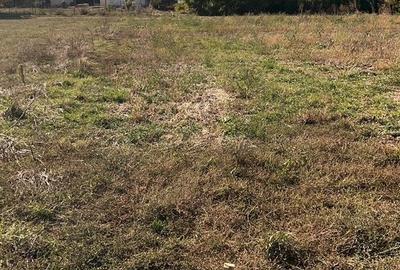 Teren de 3100 mp, în Girișu de Criș - 2