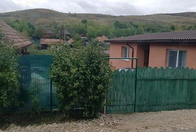 Casă cu 2 camere în Gădălin - 2