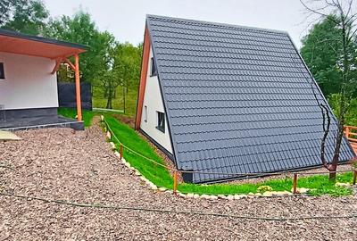 Campina, Valea Prahovei, Valea Doftanei - 3