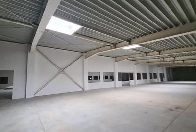 Hala productie Timisoara,  4800 mp,  Exterior Nord - 6