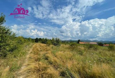 Teren de 3382 mp, în Meziad - 7