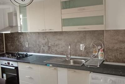 Apartament cu 2 camere decomandat în Beba Veche - 8