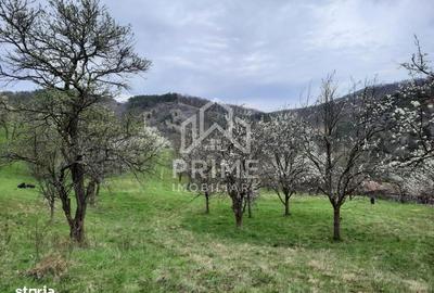 Teren de 13700 mp, în Vințu de Jos - 4