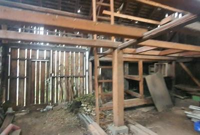 Casă cu 2 camere în Lotrioara - 1