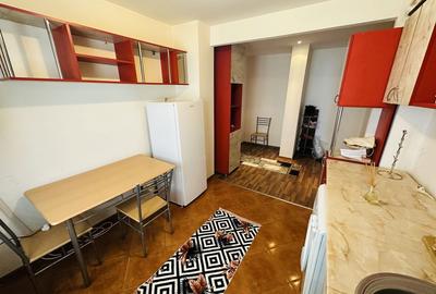 Apartament cu 2 camere decomandat în Lăpuș Argeș - 7