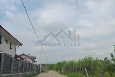 Valea Ursului aproape de padure 2 LOTURI de 600mp cu utilitati - 2