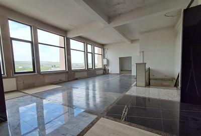 Spatiu comercial suprafete intre 130-87-217 mp zona Plevnei - 8