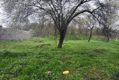 Casă cu 3 camere în Vinerea - 8