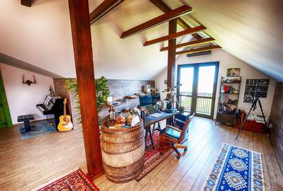 Proprietate unica, independenta energetic, zona Bucium Proprietate unica, independenta energetic, zona Bucium - 16