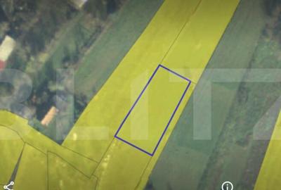 Teren intravilan, 900mp, Amati - 3