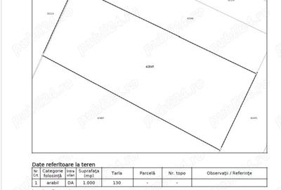 1000 mp intravilan Mihailesti de Giurgiu str TEILOR asfalt curent si C.U. - 5