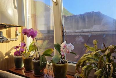 Apartament cu 3 camere circular, mobilat în Centrul Istoric - 6