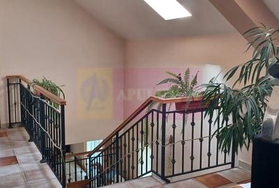 Joita, vila 5 camere 187 mp utili + garaj, terasa, pivnita, curte 578 - 8