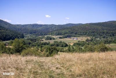 Spațiu comercial, în Vulcan - 6