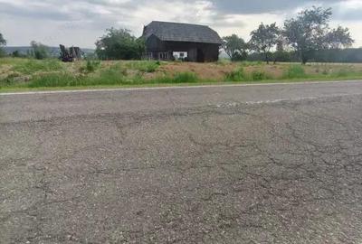 Casa+teren 5000mp, 70ml la DN 2E, zona Cacica, Radauti - 7