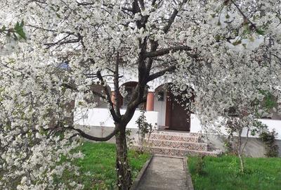 SCHIMB sau VAND casa la tara cu apartament , - 3