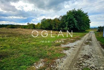 SUPER OFERTA! Teren 2000mp - Valea Avrigului, Sibiu - 3