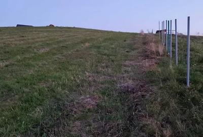 Teren agricol de 3000 mp, în Săliștea Nouă - 2