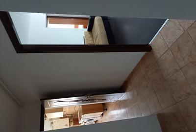 Apartament cu 2 camere decomandat în Precista - 12